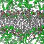 popc-eth10.jpg