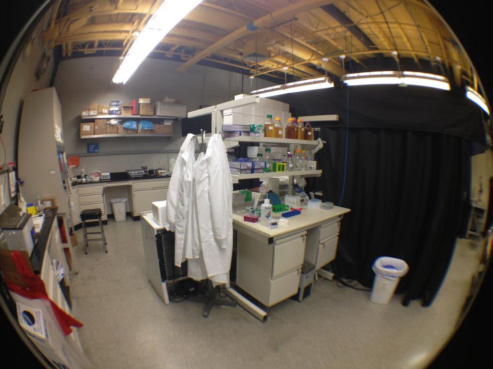 Biodynamics Laboratory